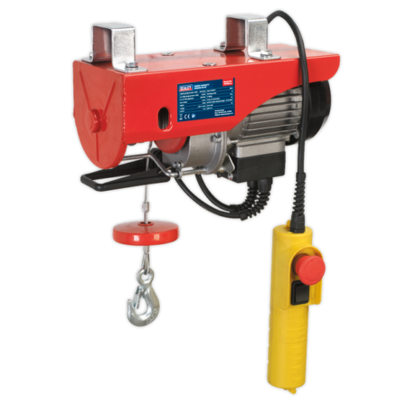 Power Hoist 250kg Capacity 230V